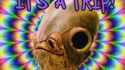 it's a trip!