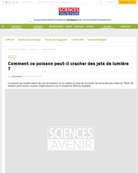 L'ostracode