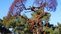 Arbre métallique