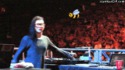 Bee fun ! Bee Skrillex ! :O