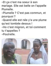 Plumelle