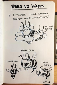 Abeilles vs guêpes