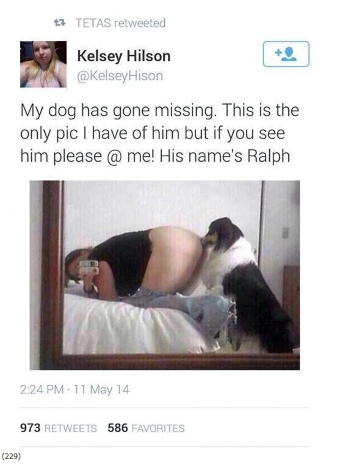 Son chien a disparu. C'est la seule photo de Ralph. Aidez-la.