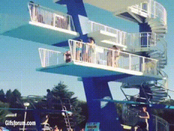Magnifique plongeon