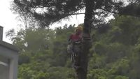 Un bûcheron