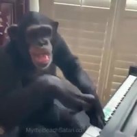 Piano à quatre mains