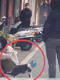 Et après, on dira que ce sont les marseillais qui exagèrent