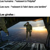 La naissance, ce moment particulier