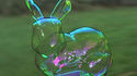 Bulle lapin