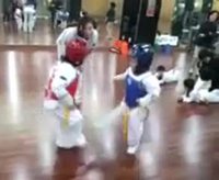 Combat miniature 2