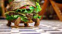 Tortue burger