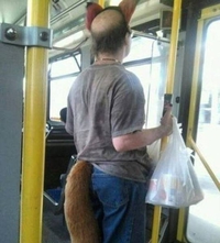 Kan tu prends les transports en commun