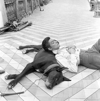 1963 : Alain Delon