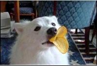 Duck face