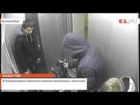 Bicycle thieves caught in the act