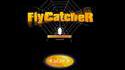 Flycatcher