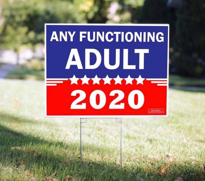 N'importe quel adulte fonctionnel - 2020

La saison des panneaux fleurie aux USA avec la prochaine élection présidentielle.
les 'communautés de voisinage' n’apprécient guère l'humour en général, même si dans ce cas, aucun parti n’est visé..