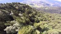 Magnifique et impressionnante descente en wingsuit dans les Alpes